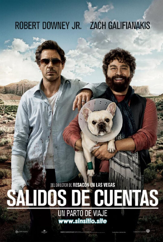 Salidos de cuentas (2010). BDrip 1080p (Spanish-English+Subs).