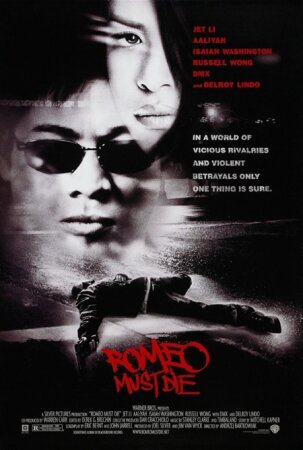 Romeo debe morir (2000) 1080p AV1 Dual + XviD