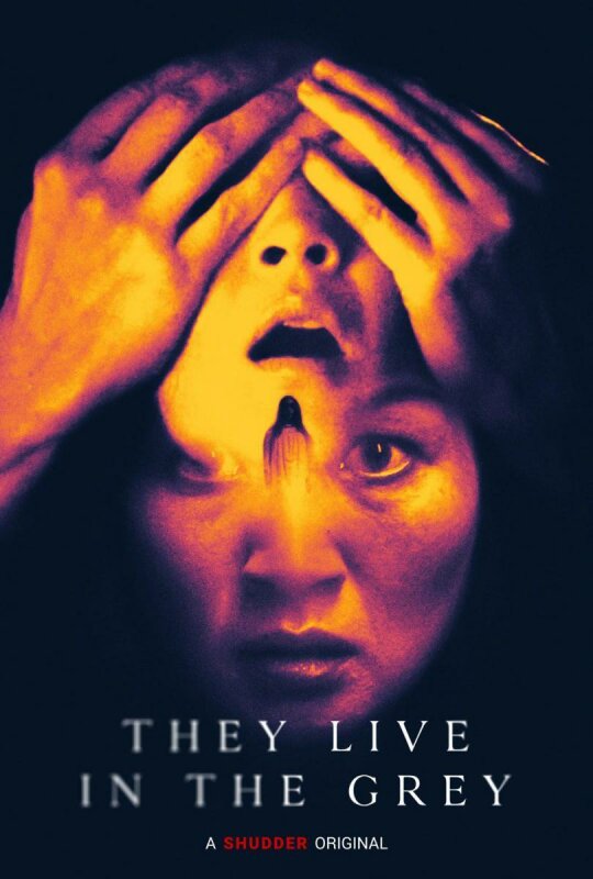 They Live in the Grey BDrip XviD Castellano