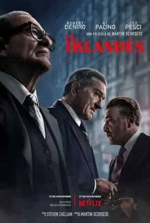 El irlandés ( 2019 Biográfica ) BDrip XviD Castellano