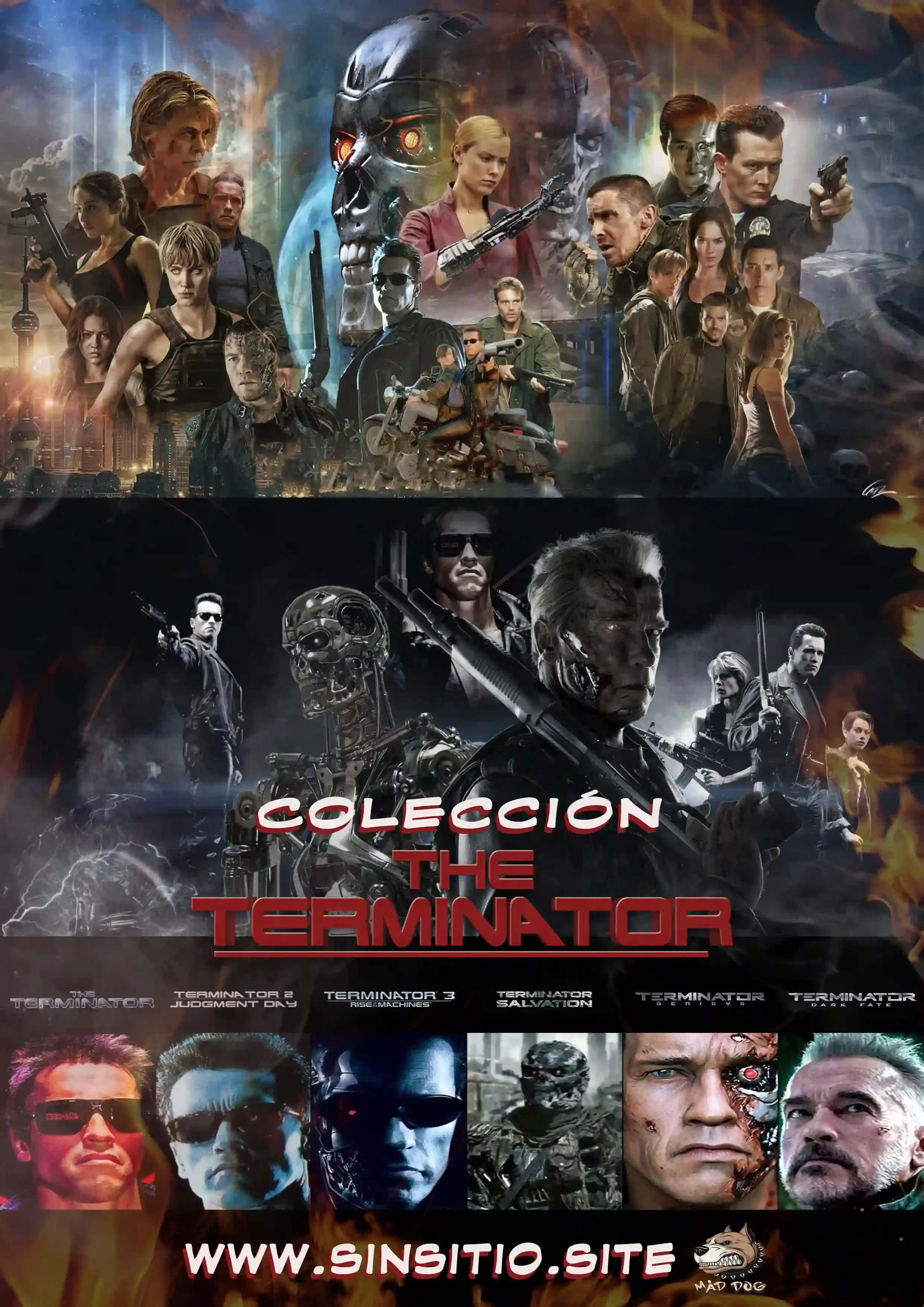 Colección Terminator (1984-2019)