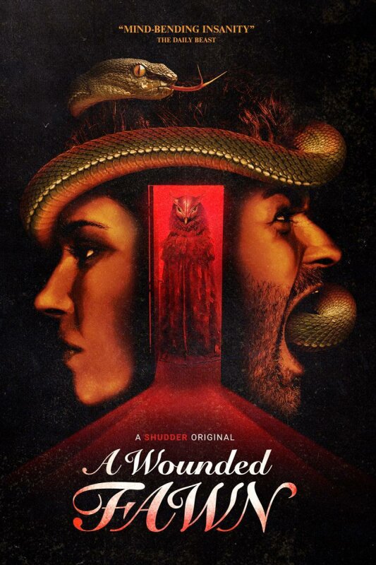 A Wounded Fawn BDrip XviD Castellano