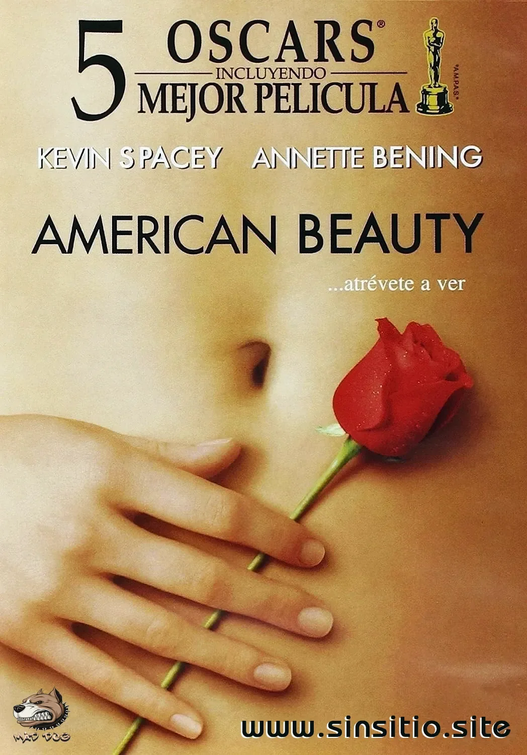 American Beauty (1999).HEVC BDrip 1080p (Spanish-English+Subt)