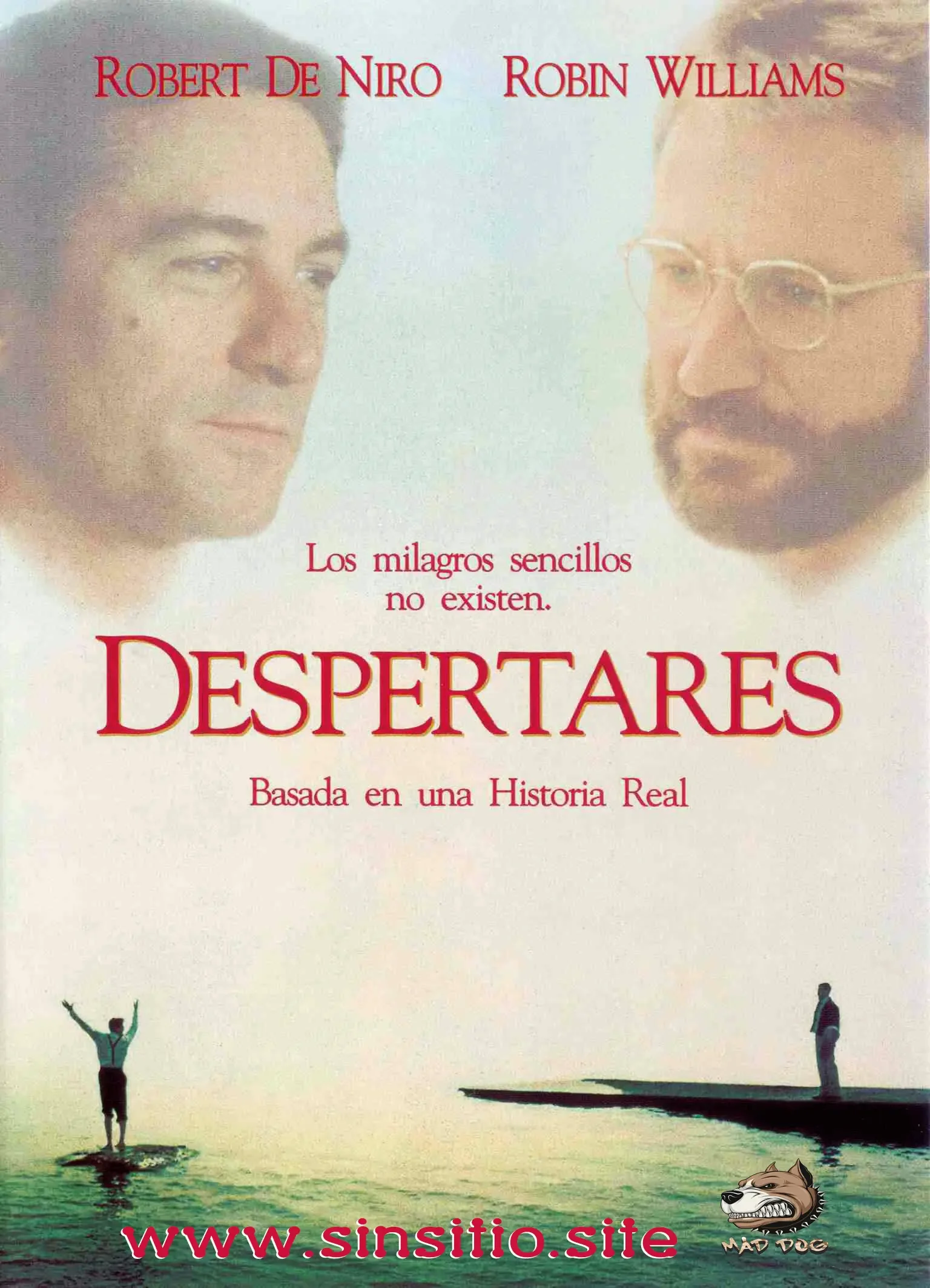 Despertares (1990).HEVC BDrip 1080p (Spanish-English+Subt)