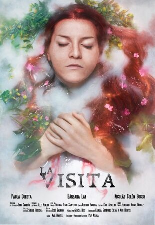 La visita BDrip MP4 Castellano