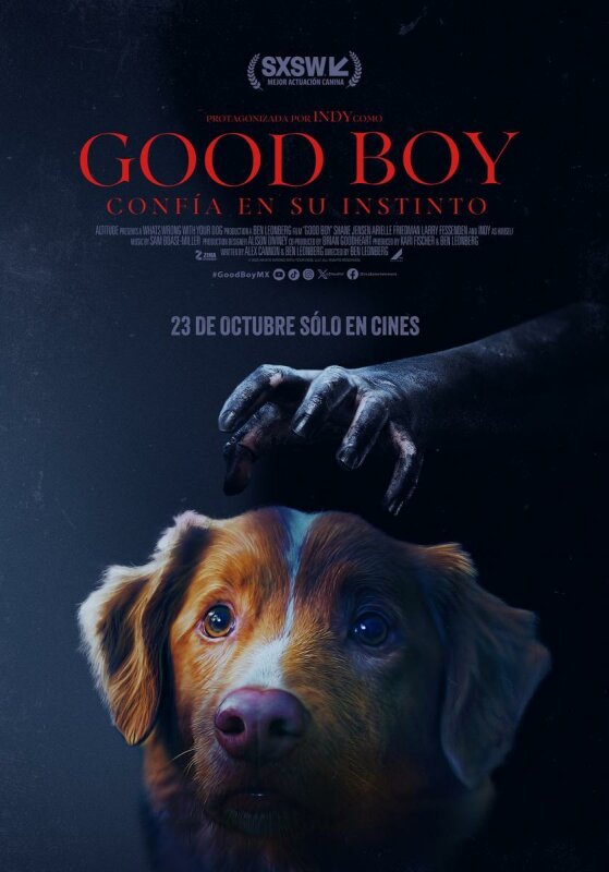 Good Boy ( Confía en su instinto ) BDrip XviD Castellano
