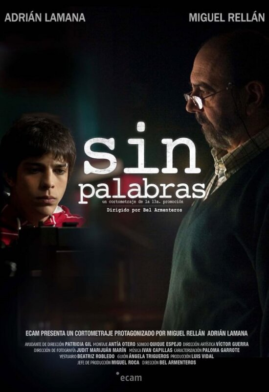Sin palabras BDrip MP4 Castellano