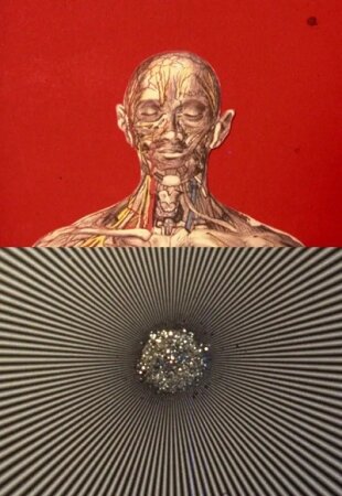 El mensaje es facial BDrip XviD Castellano