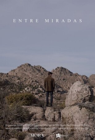 Entre miradas BDrip MP4 Castellano