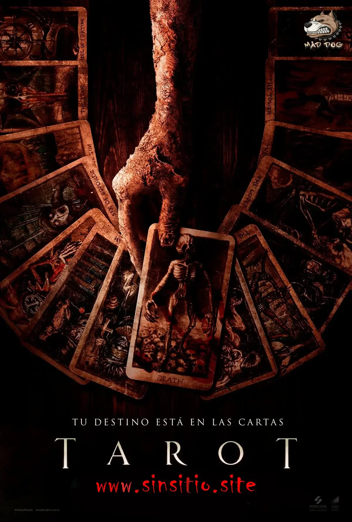 Tarot (2024).WEBdl HD 1080p (Spanish-English+Subt)