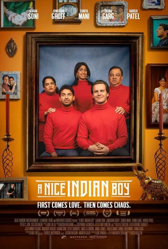 A Nice Indian Boy BDrip XviD Castellano