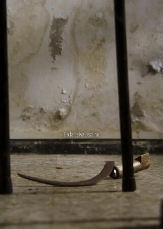 En la selva oscura BDrip MP4 Castellano