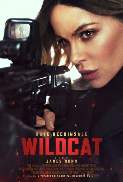 Wildcat Misión rescate BDrip XviD Castellano