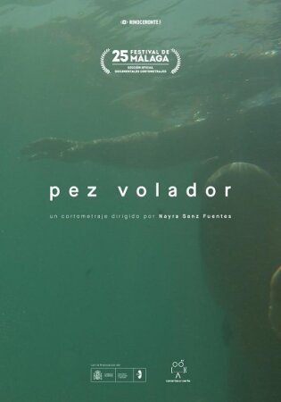 Pez volador BDrip XviD Castellano