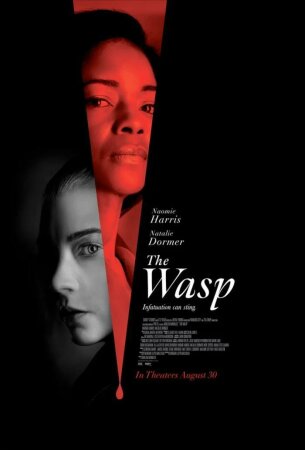 La avispa [The Wasp] (Guillem Morales..2024).(Spanish.English.Subt. HD 1080p (1).mkv