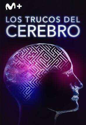 Los trucos del cerebro T1