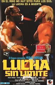 Lucha Sin Límite  1080p Dual esp eng.mkv