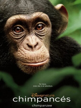 Chimpancés BDrip XviD Castellano