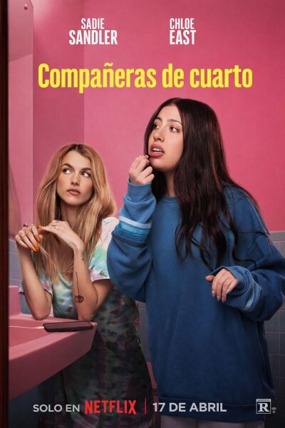 Compañeras de cuarto BDrip XviD Castellano