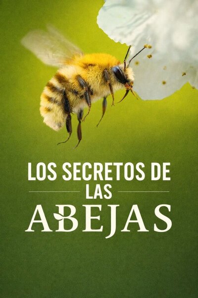 Los secretos de las abejas T1