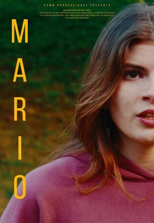 Mario BDrip MP4 Castellano