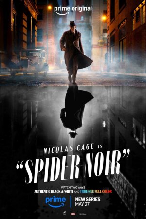 Spider Noir T1