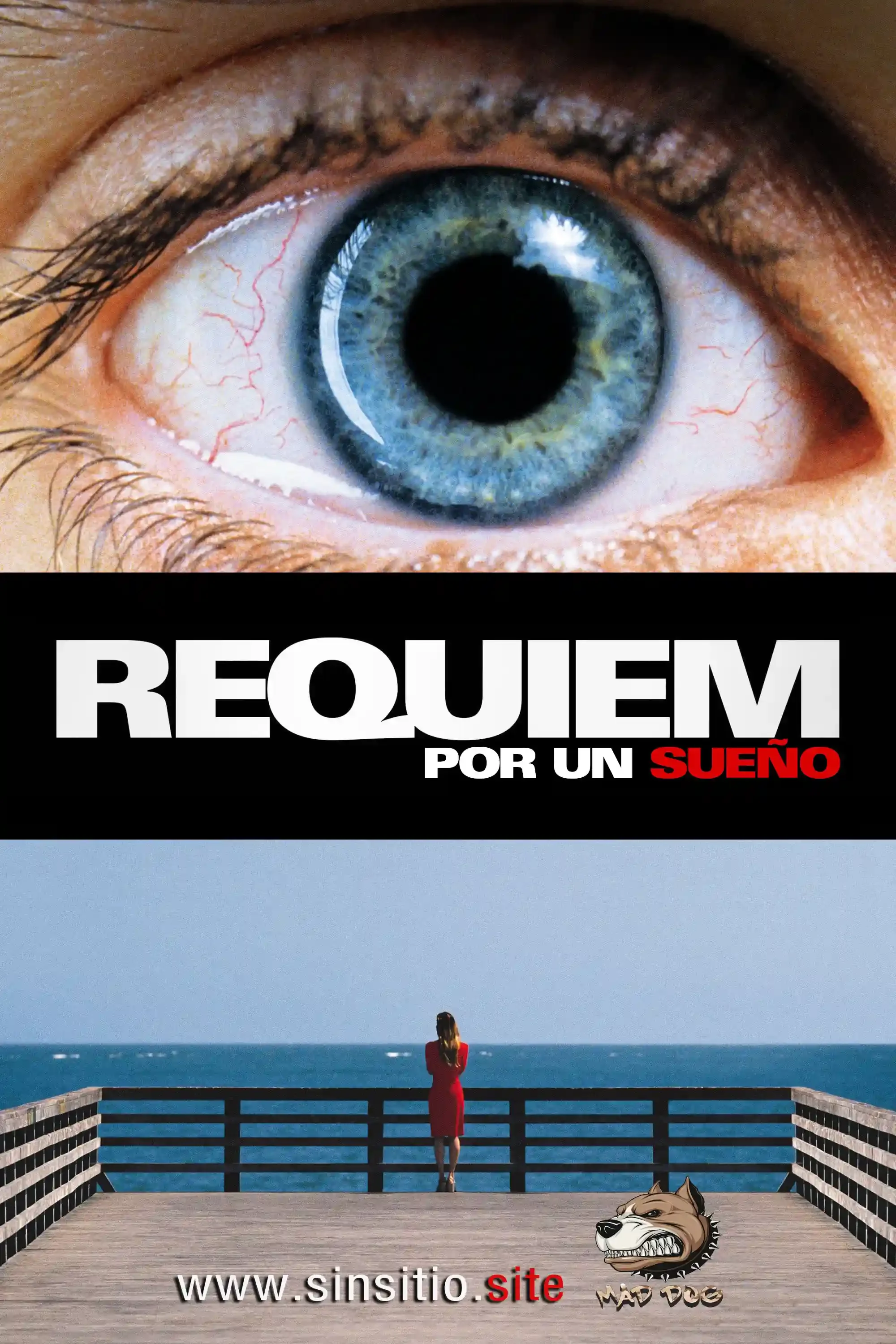 Requiem por un sueño (2000).HEVC BDrip 1080p (Spanish-English+Subs)