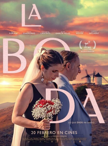 La boda BDrip XviD Castellano