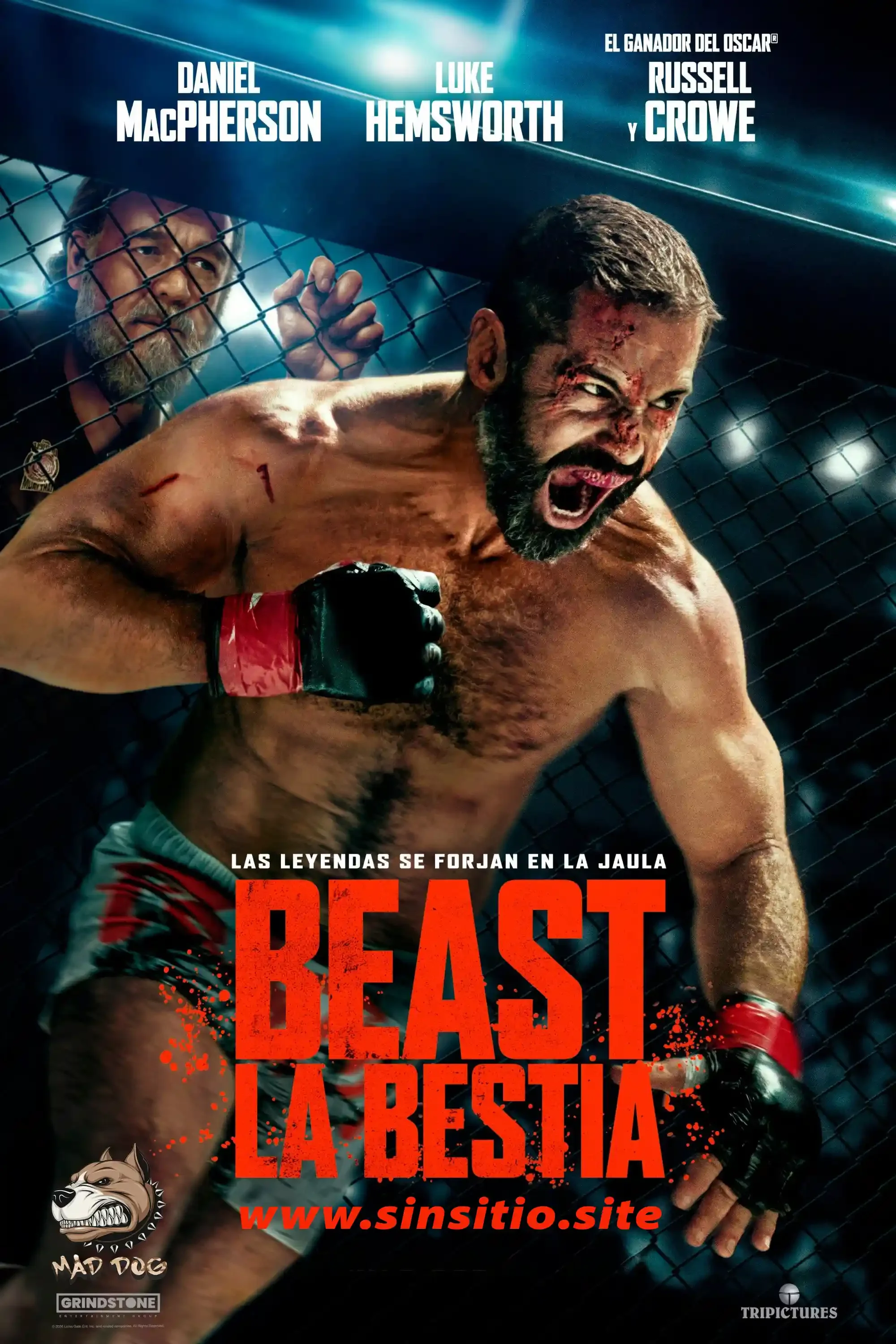 Beast (La bestia) (2026).HDFull (Spanish)