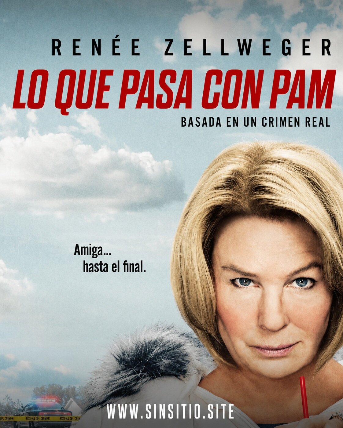 🥤 Lo que pasa con Pam (miniserie) 1080p