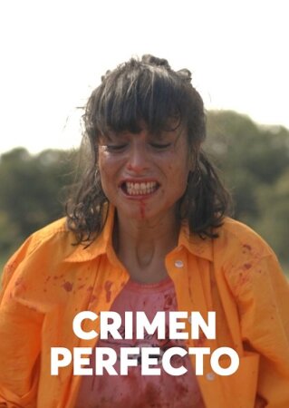 Crimen perfecto BDrip MP4 Castellano
