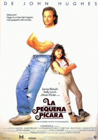 La pequeña picara (1991) Avi XviD Mp3
