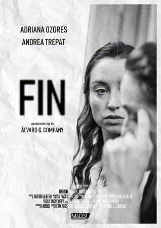 Fin BDrip XviD Castellano