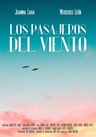 Los pasajeros del viento BDrip XviD Castellano