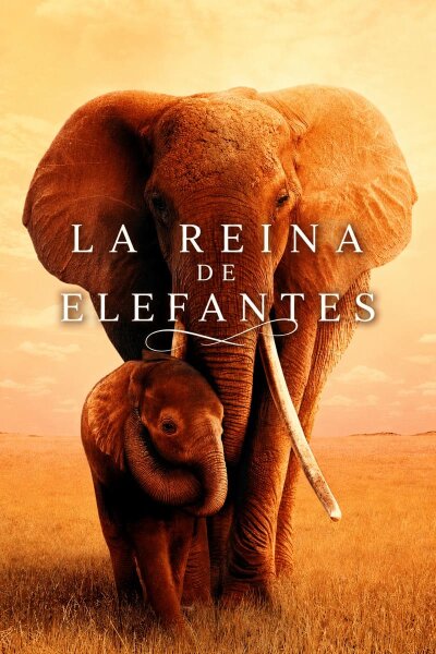 La Reina de elefantes BDrip XviD Castellano