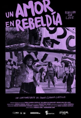 Un amor en rebeldía BDrip Mp4 Castellano