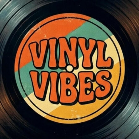 VA - Vinyl Vibes (2026) Mp3