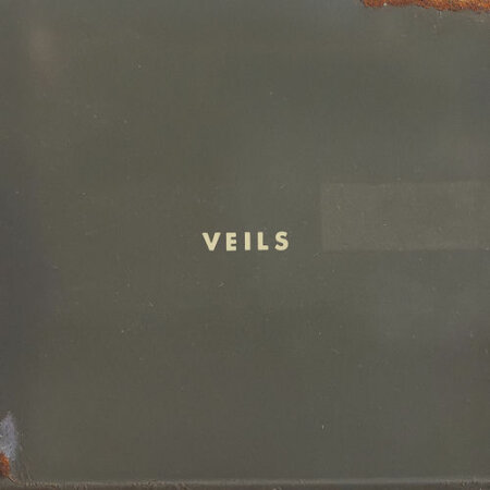 Vanessa Carlton - Veils (2026) Mp3