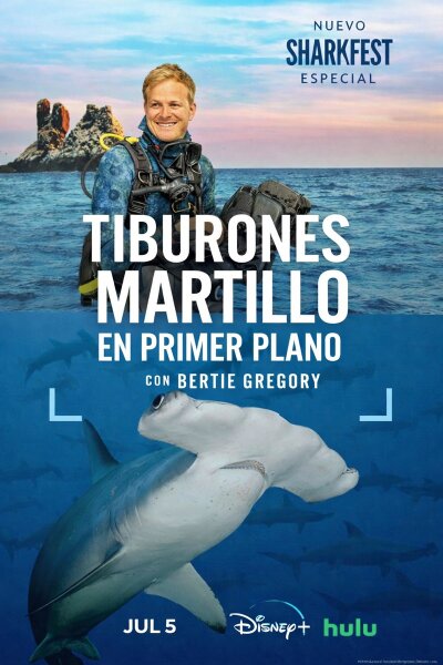 Tiburones martillo en primer plano con Bertie Gregory BDrip XviD Castellano