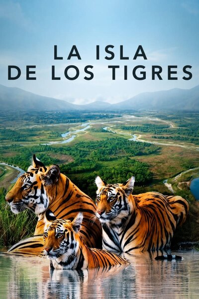 La isla de los tigres T1
