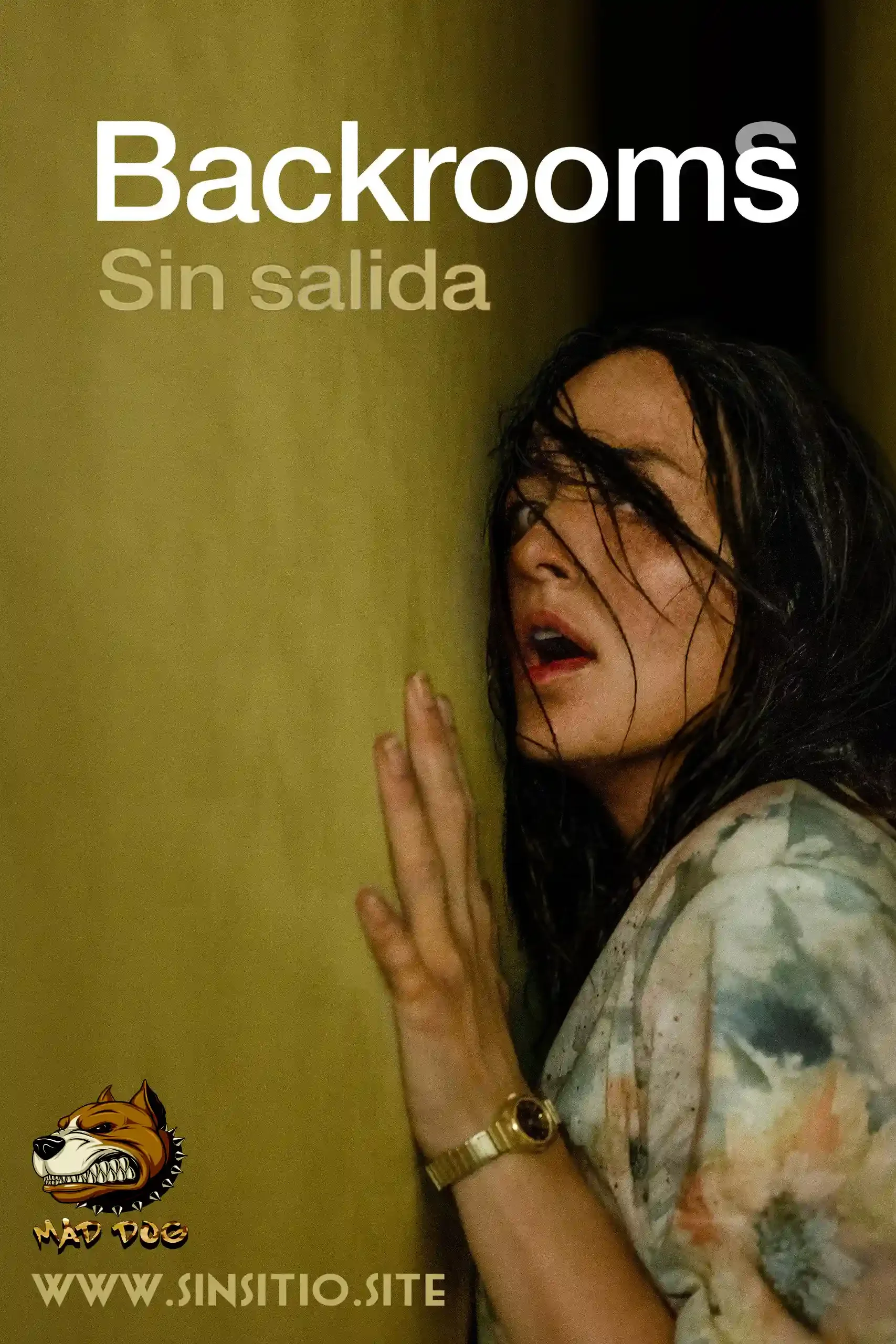 Backrooms (2026).BDrip 1080p (Spanish)