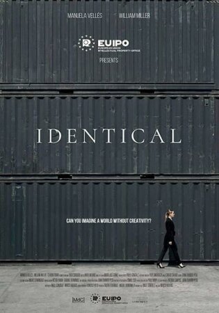 Ipdentical BDrip Mp4 Castellano