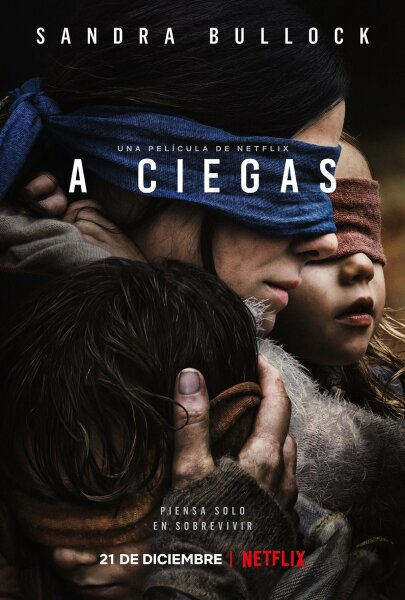 A Ciegas (bird box) (2018) HDrip