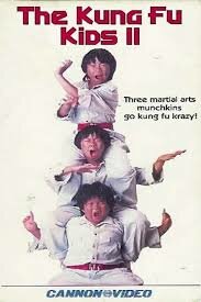 Los kung fu kids II - ¡Al ataque Kung fu kids!.mkv