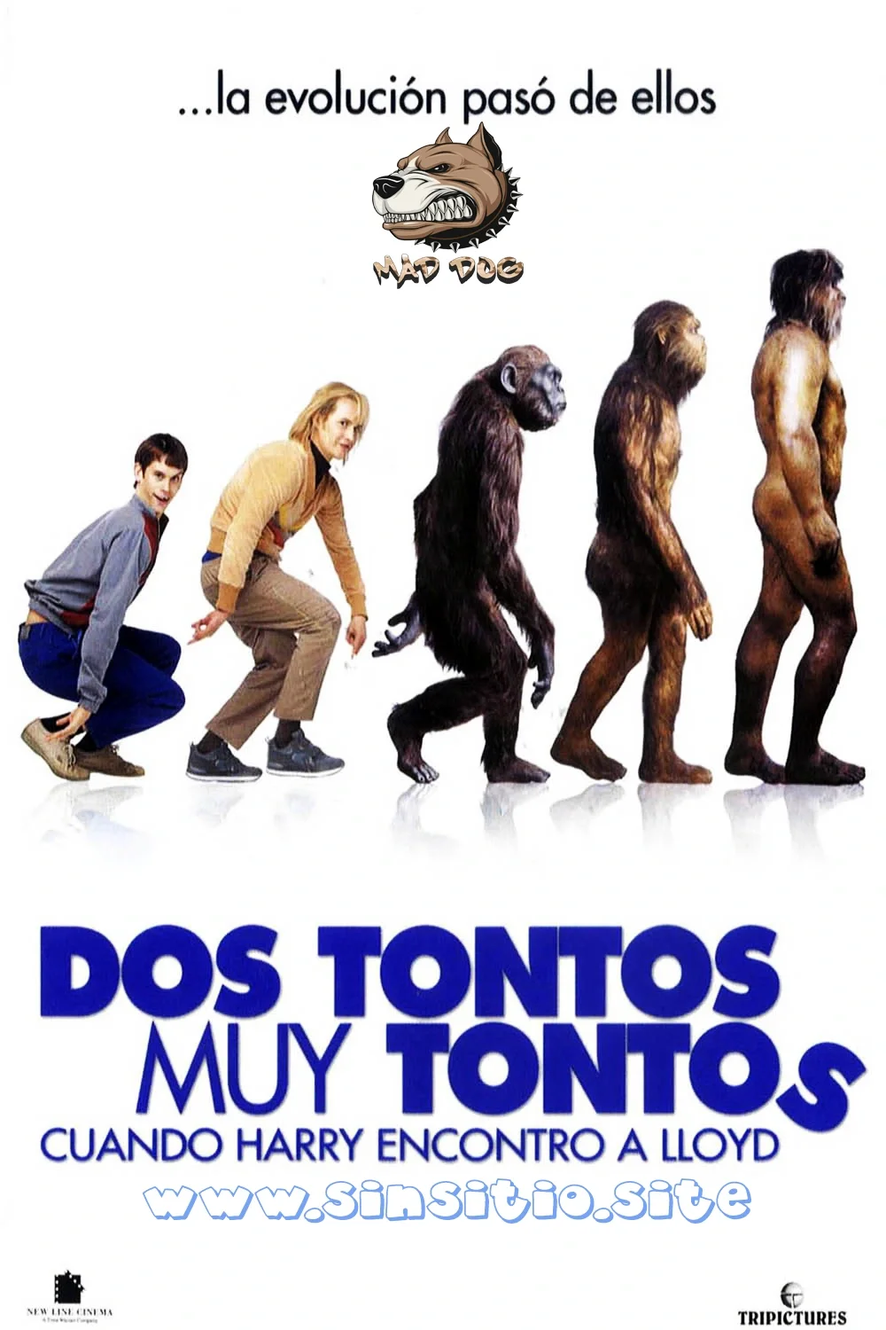 Dos tontos muy tontos,Cuando Harry encontró a Lloyd (2003).BDRip 1080p (Spanish-English+Subt)