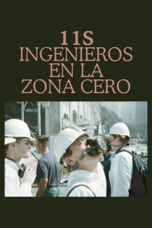 11S: Ingenieros en la zona cero BDrip XviD Castellano