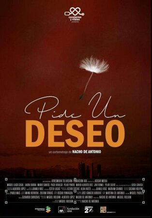 Pide un deseo BDrip Mp4 Castellano
