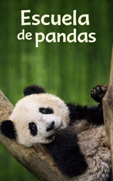 Escuela de pandas T1