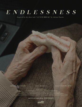 Endlessness BDrip Mp4 Castellano