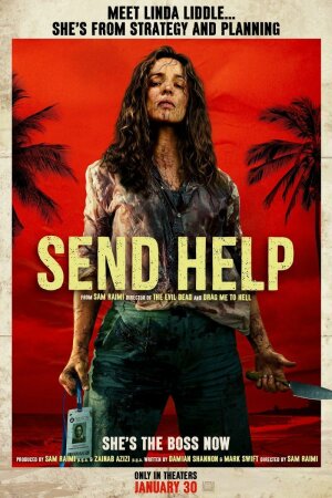 Send Help (Enviad ayuda) BDrip XviD Castellano